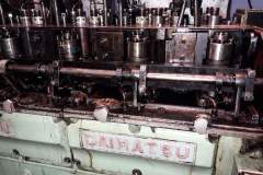 FB_IMG_1656663881502